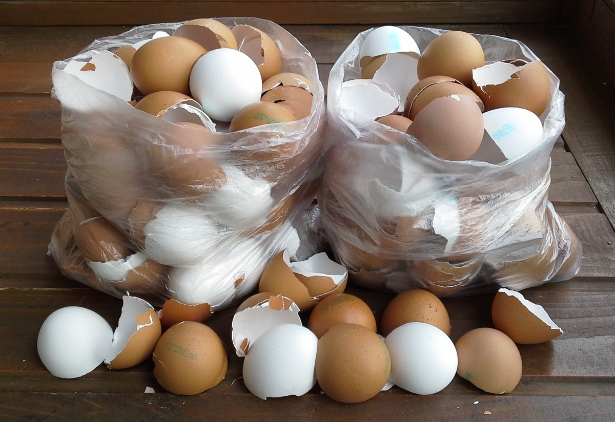 Τσόφλια Αυγών: Απόβλητο Κουζίνας με Απροσδόκητη Χρησιμότητα