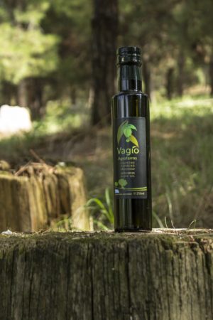 ΄ΜΕΛΙ (Κωδ.: 015)